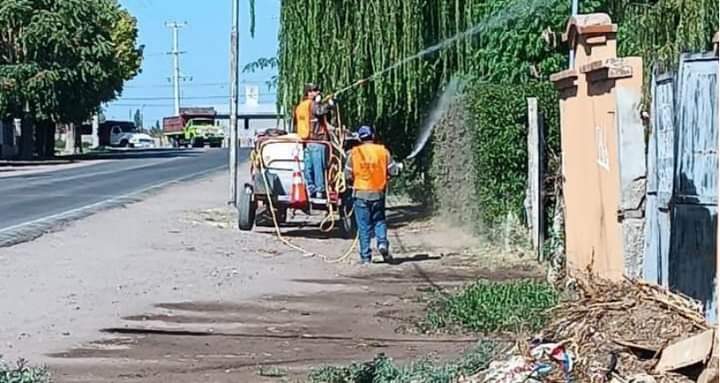 Dengue: La Comuna ha fumigado más de 30 Barrios - El Regional Este