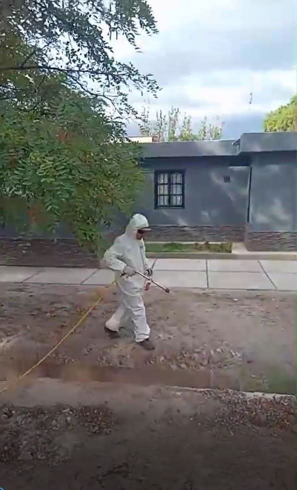 La comuna refuerza la limpieza y fumigación en Barrio del Carmen. - El ...